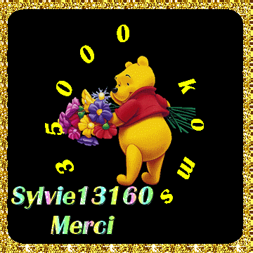 35 0000 commentaires